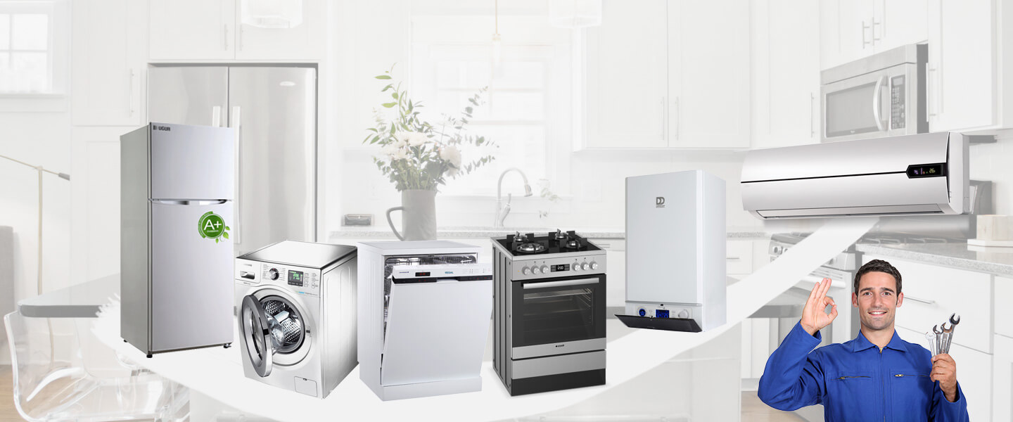 Susuz Electrolux Servisi